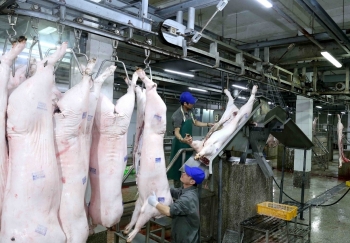 Tăng cường quản lý, kiểm soát giết mổ động vật bảo đảm an toàn dịch bệnh, an toàn thực phẩm