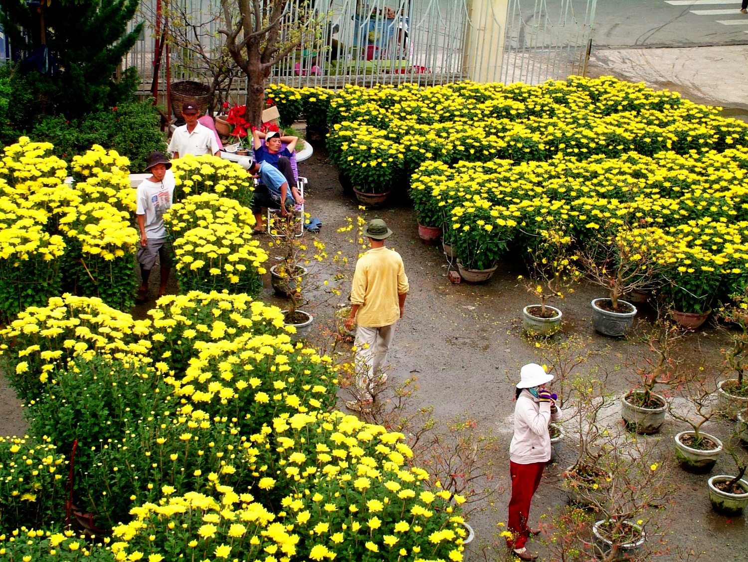 Đất trời trao tặng