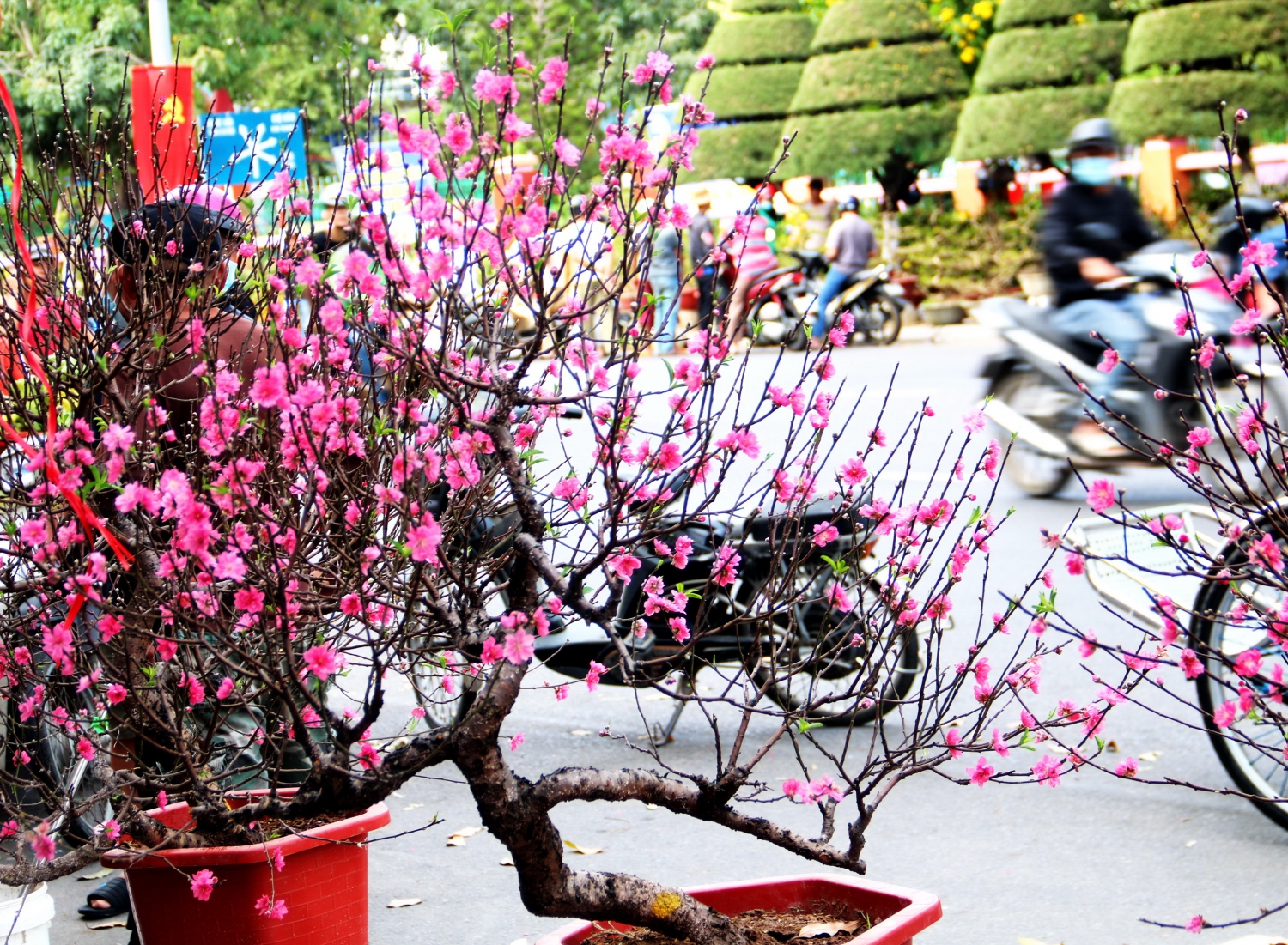 Đất trời trao tặng