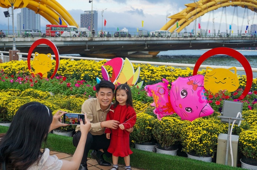 Đà Nẵng: Đường hoa xuân rực rỡ đón Tết Quý Mão Đà Nẵng: Đường hoa xuân rực rỡ đón Tết Quý Mão