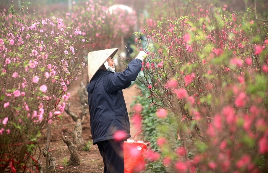 Thời tiết ngày 24/01/2023:Không khí lạnh tràn xuống, miền Bắc chuyển rét đậm, rét hại