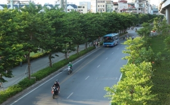 Hà Nội sẽ trồng mới 250.000 cây xanh đô thị