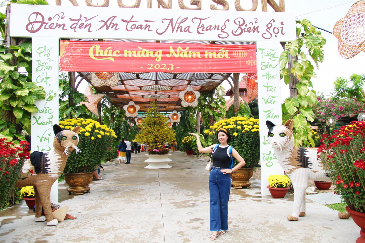 Ngày hoa mai nở ở làng nghề Trường Sơn