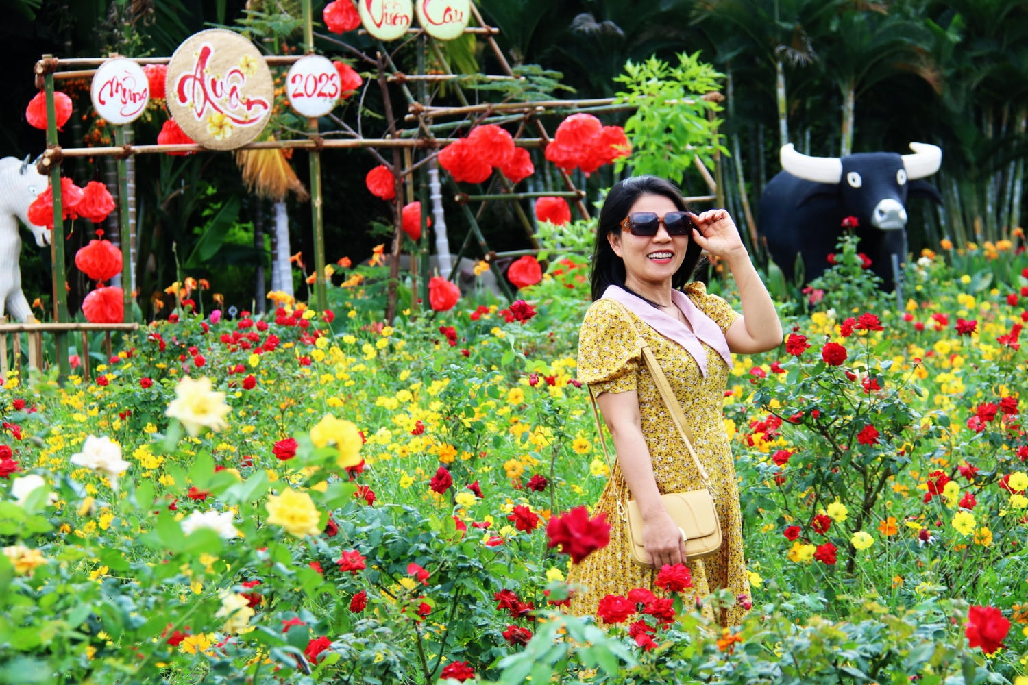 Ngày hoa mai nở ở làng nghề Trường Sơn
