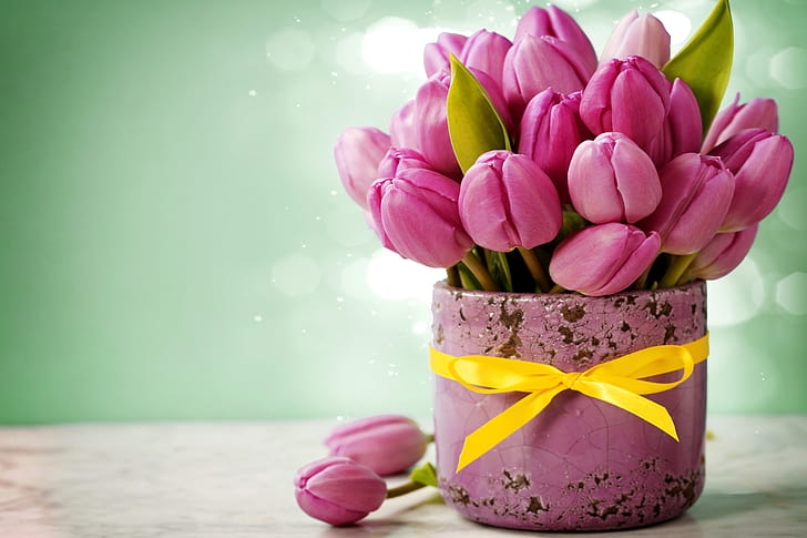 Tử vi ngày 3/4/2023: Tuổi Sửu đề phòng tiểu nhân, tuổi Mùi được người giúp đỡ