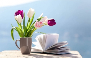 Tử vi ngày 3/4/2023: Tuổi Sửu đề phòng tiểu nhân, tuổi Mùi được người giúp đỡ