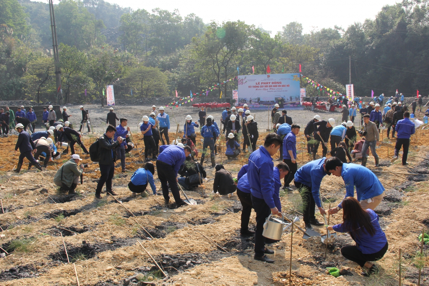 Tuổi trẻ TKV trồng 3.000 cây phi lao hưởng ứng Tết trồng cây năm 2023