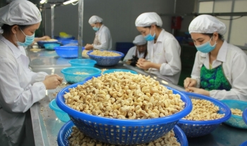 Tin tức kinh tế ngày 1/2: Số lượng đơn đặt hàng xuất khẩu mới tăng trở lại