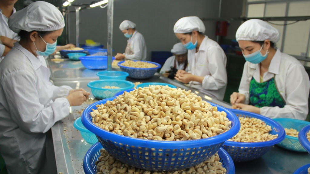 Tin tức kinh tế ngày 1/2: Số lượng đơn đặt hàng xuất khẩu mới tăng trở lại