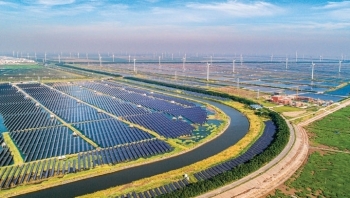 BP: Xung đột Nga - Ukraine đang đẩy nhanh quá trình chuyển dịch năng lượng