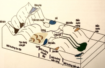 Tướng đá và môi trường trầm tích