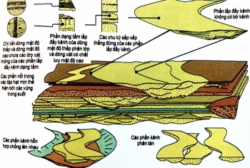 Các yếu tố trầm tích vùng biển nước sâu