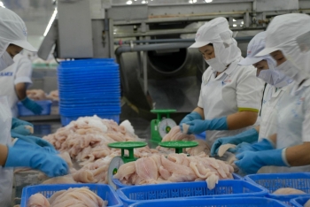 Nhiều mặt hàng tiềm năng xuất khẩu sang thị trường Mexico
