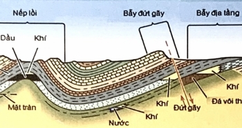 Hệ thống dầu khí - Đá sinh dầu, đá chứa và đá chắn