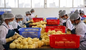 Thúc đẩy giao thương nông sản giữa Việt Nam - Trung Quốc