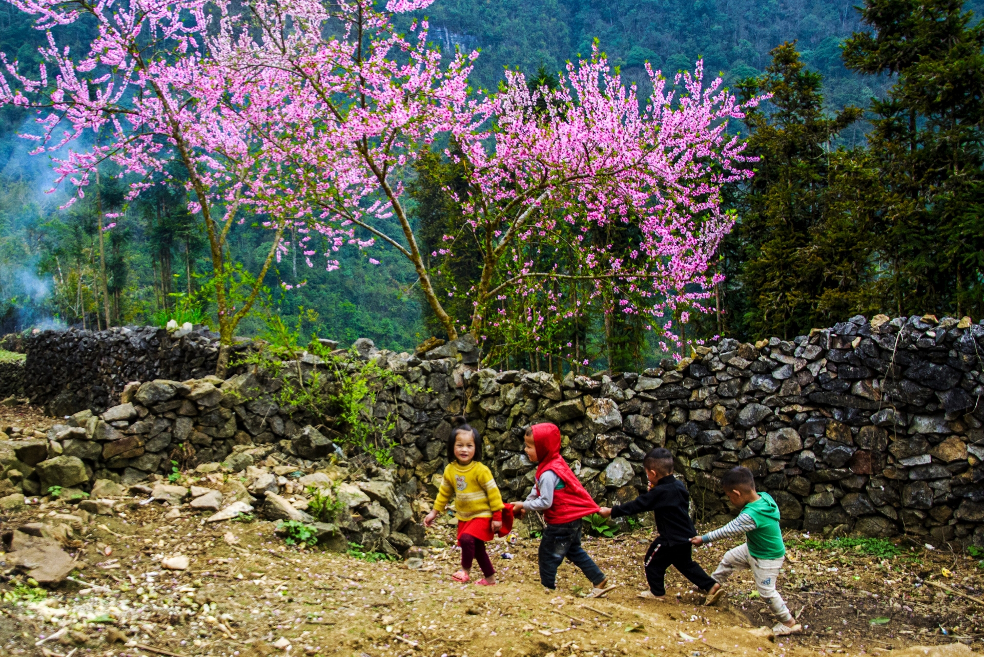Về Hà Giang giữa mùa xuân hoa nở