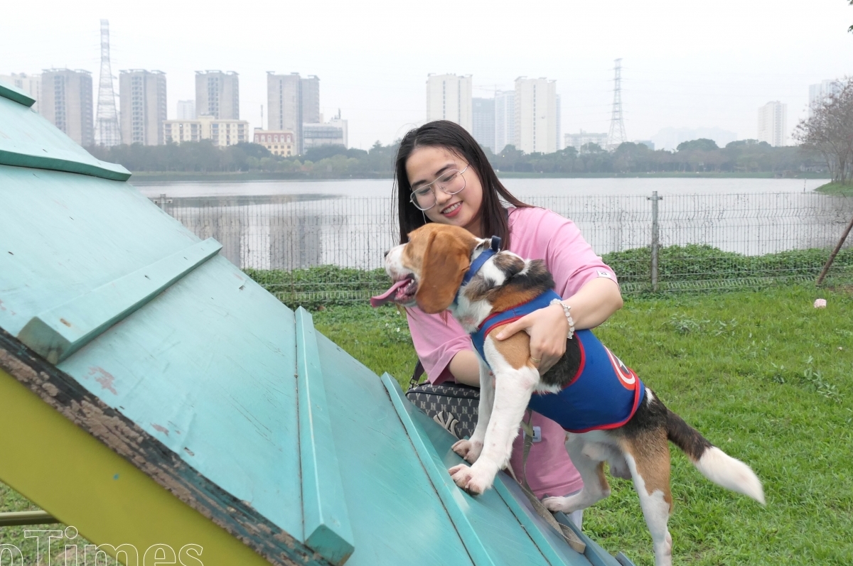 Công viên dành cho chó đầu tiên tại Hà Nội