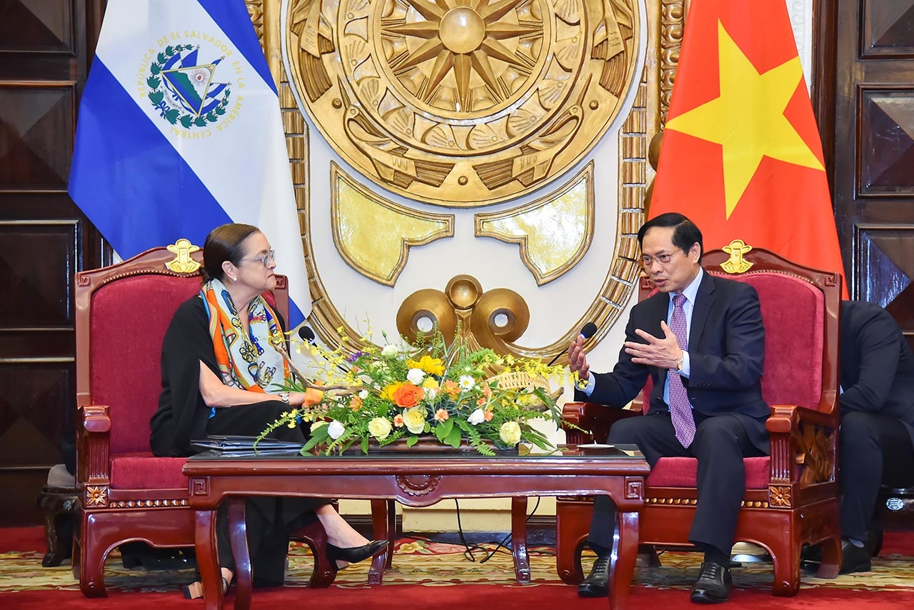 Bộ trưởng Ngoại giao Bùi Thanh Sơn hội đàm với Bộ trưởng Ngoại giao El Salvador