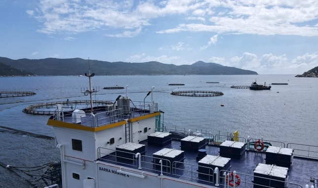 Nghề nuôi biển Việt Nam có thể thu đến 15 tỷ USD mỗi năm