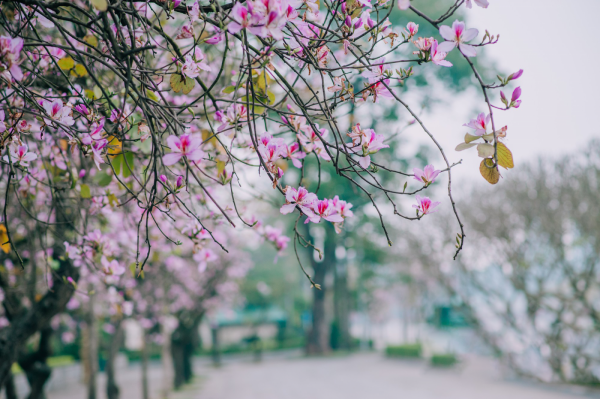 Thời tiết ngày 16/2/2023: Miền Bắc có mưa nhỏ vài nơi