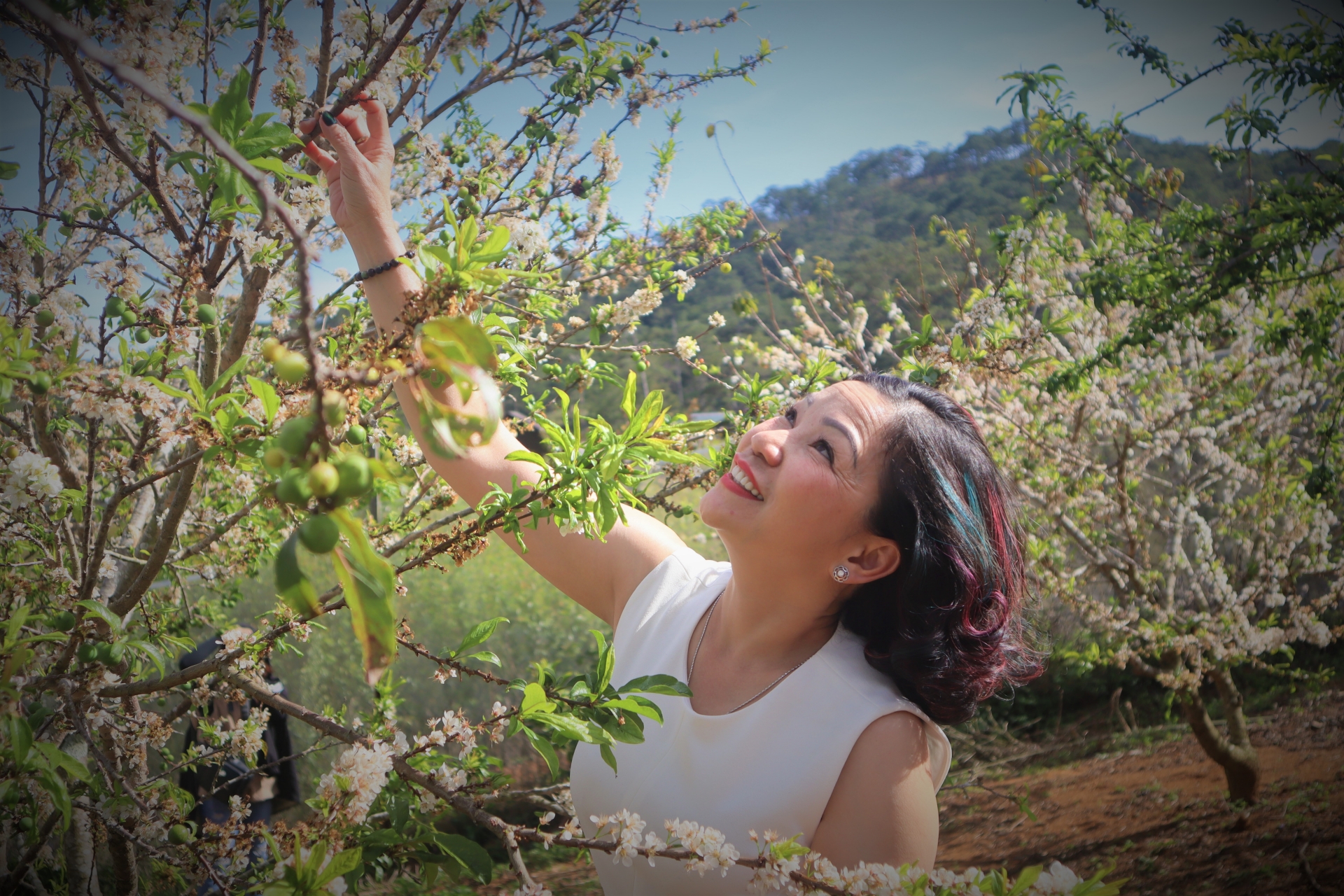 Chị Trần Yến (TP. Đà Lạt, tỉnh Lâm Đồng) phải thốt lên: “Là một người thích du lịch, khám phá, khi nghe tin có vườn mận này, tôi đã nhanh chóng rủ bạn bè đến check in, thật sự vườn hoa mận rất đẹp, như một “Mộc Châu thu nhỏ””.