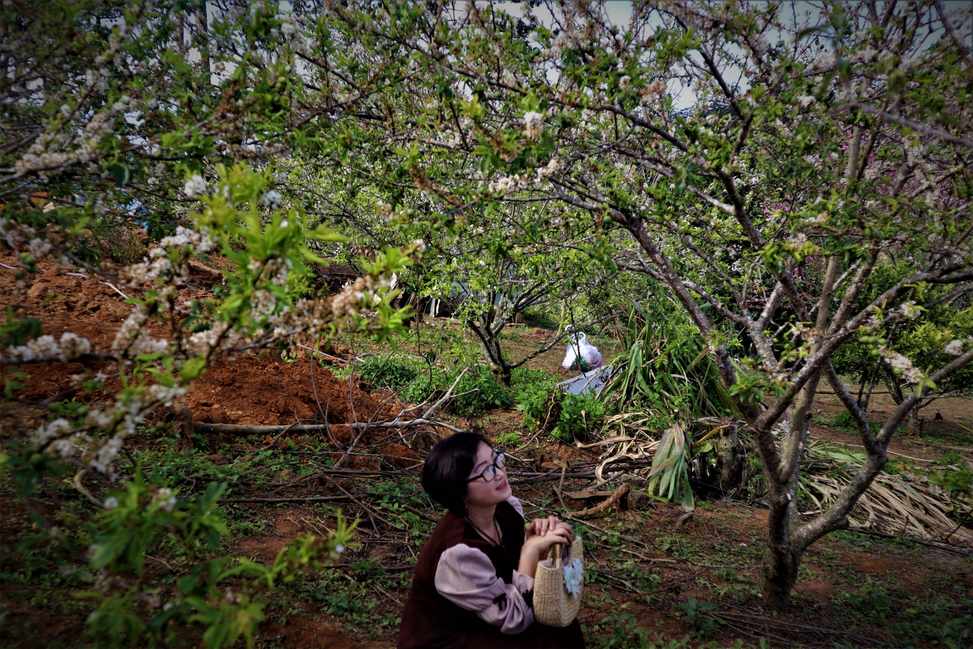 Dưới những tán hoa mận trắng tinh khôi, du khách có thể thoải mái thả hồn mình vào không gian đầy thơ mộng.