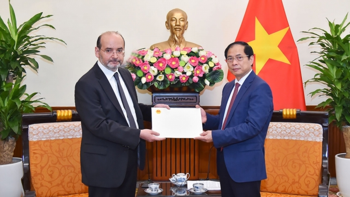 Bộ trưởng Bộ Ngoại giao Bùi Thanh Sơn tiếp Đại sứ Thổ Nhĩ Kỳ