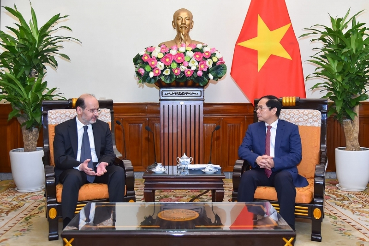 Bộ trưởng Bộ Ngoại giao Bùi Thanh Sơn tiếp Đại sứ Thổ Nhĩ Kỳ