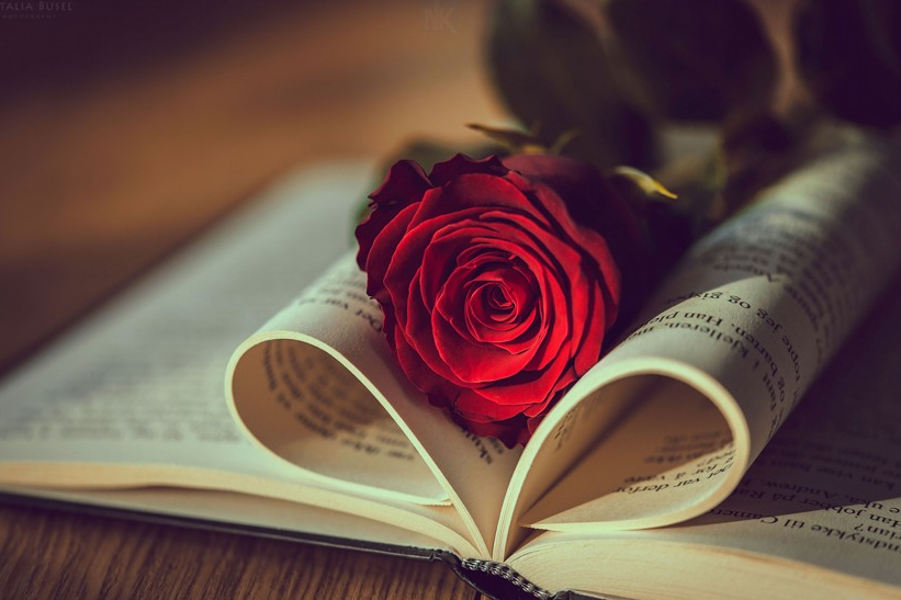 Tử vi ngày 19/2/2023 của 12 cung hoàng đạo: Thiên Bình dễ nổi nóng, Nhân Mã lạc quan