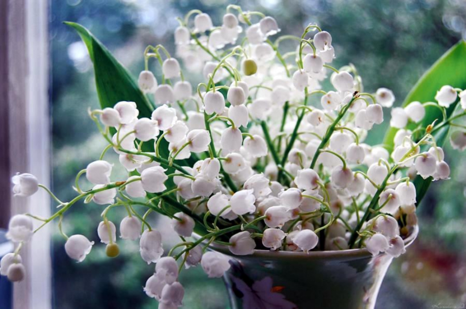 Tử vi ngày 11/12/2023 của 12 cung hoàng đạo: Bạch Dương nhiệt huyết, Ma Kết nổi loạn