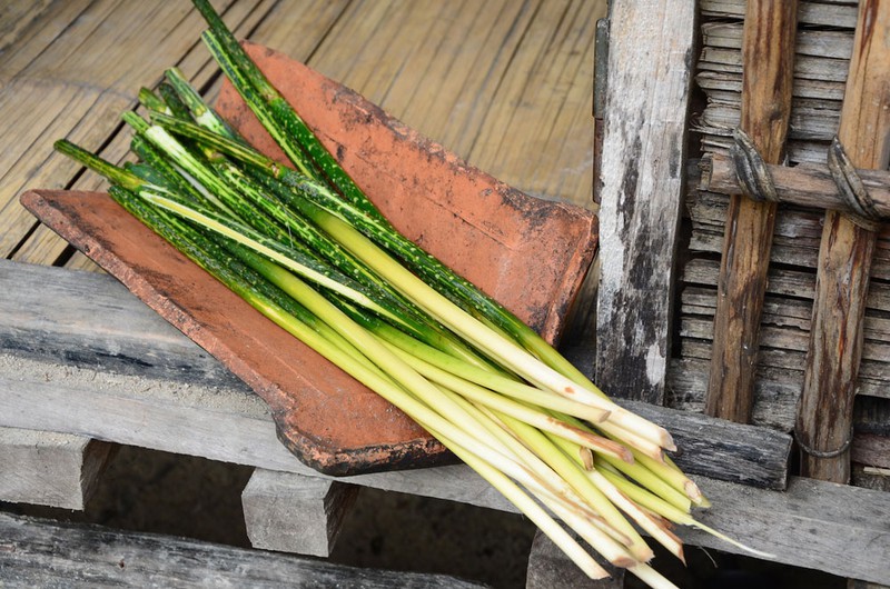 Thưởng thức đặc sản rừng Cát Tiên
