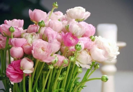 Tử vi ngày 25/6/2023 của 12 cung hoàng đạo: Kim Ngưu cơ hội tỏa sáng, Xử Nữ may mắn