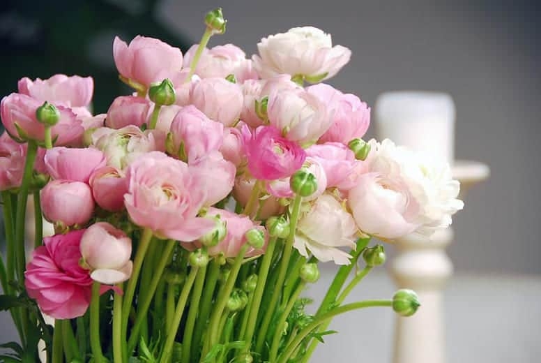 Tử vi ngày 7/8/2023 của 12 cung hoàng đạo: Bạch Dương nguyên tắc, Song Ngư nhiệt huyết Tử vi ngày 7/8/2023 của 12 cung hoàng đạo: Bạch Dương nguyên tắc, Song Ngư nhiệt huyết