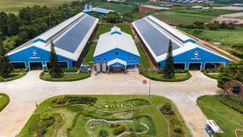 Doanh nghiệp với những "từ khóa" cho mục tiêu Net Zero 2050