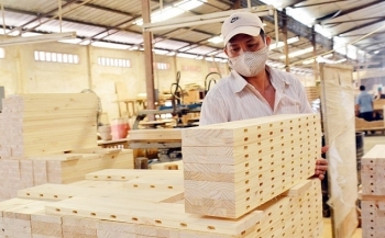 Tin tức kinh tế ngày 25/2: Xuất khẩu gỗ và sản phẩm gỗ giảm mạnh