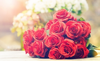 Tử vi ngày 6/4/2023 của 12 cung hoàng đạo: Cự Giải buồn chuyện tình cảm, Ma Kết có trách nhiệm