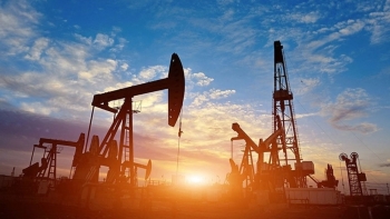 Mỹ: Số lượng giàn khoan dầu khí đang hoạt động giảm nhiều nhất kể từ năm 2020