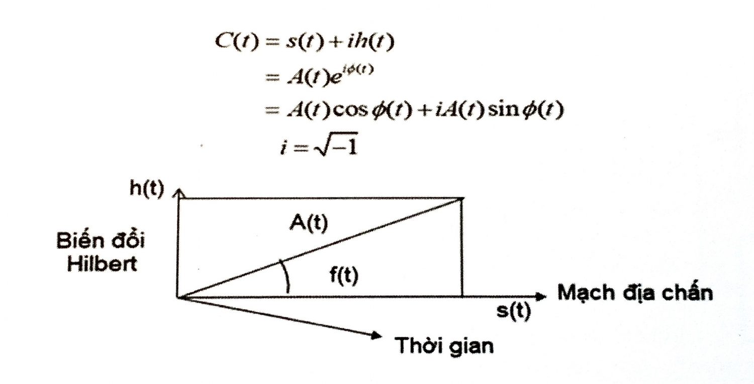 Các thuộc tính theo mẫu