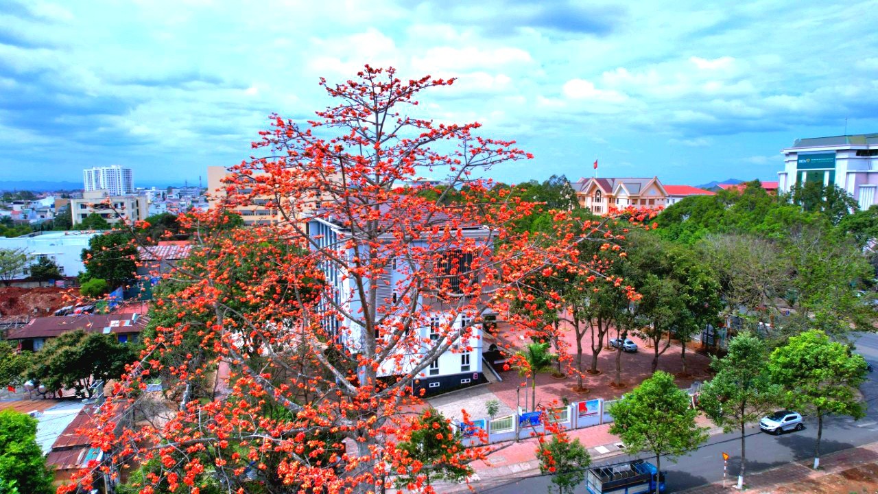 Sắc thắm Pơ lang