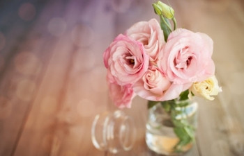 Tử vi ngày 3/3/2023 của 12 cung hoàng đạo: Bạch Dương bứt phá, Xử Nữ nên thư giãn