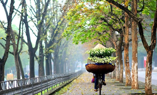 Thời tiết ngày 3/3/2023: Bắc Bộ có mưa vài nơi, đêm đón không khí lạnh tăng cường