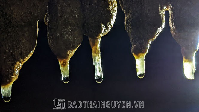Hang động suối Mỏ Gà   Kỳ quan trong gầm núi