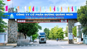Công ty CP Đường Quảng Ngãi bị thanh tra thuế