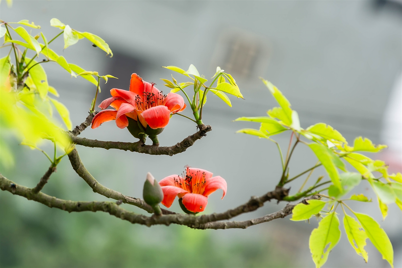 Thời tiết ngày 7/3/2023: Hà Nội trời nắng, nhiệt độ lên tới 25-27 độ C