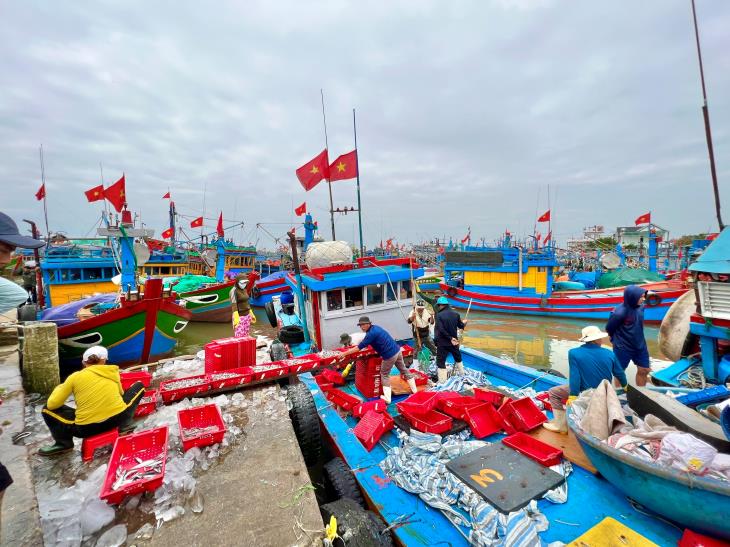 Chở nặng “lộc biển” từ ngư trường Hoàng Sa, Trường Sa