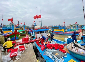 Chở nặng “lộc biển” từ ngư trường Hoàng Sa, Trường Sa