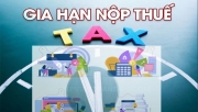 Gia hạn tiền thuế, tiền thuê đất để tạo thêm động lực cho doanh nghiệp phát triển