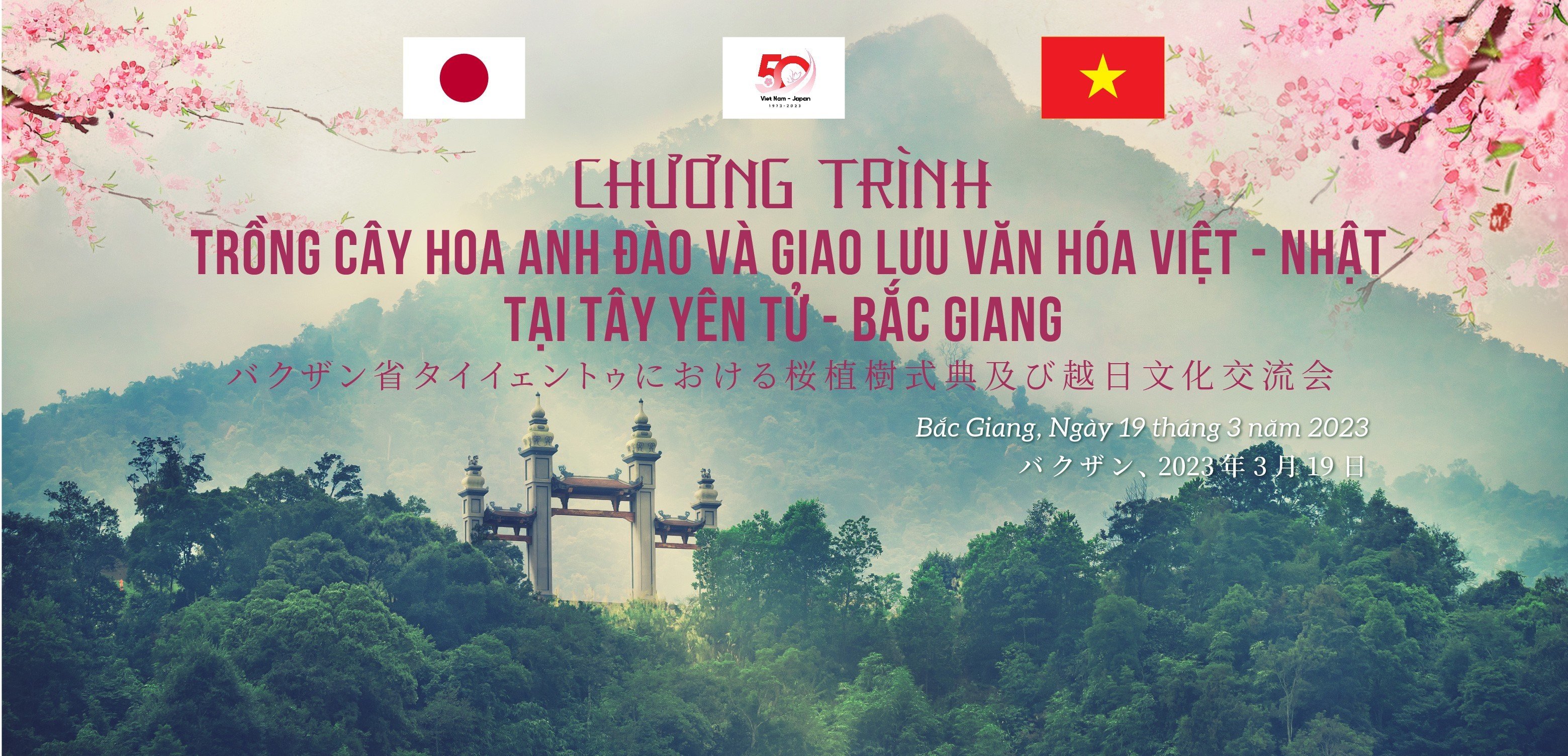 Hoa Anh đào Nhật Bản nở rộ tại Tây Yên Tử (Bắc Giang)
