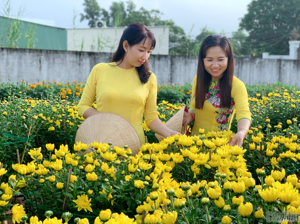 Hòa nhập xu hướng du lịch xanh, bền vững bằng sản phẩm đặc trưng Cần Thơ