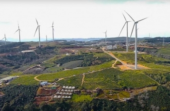 Công ty Cổ phần Năng lượng tái tạo Đại Dương bị phạt và truy thu gần 1,4 tỷ đồng
